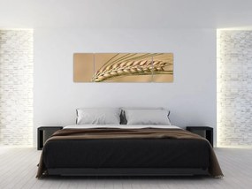 Obraz - Pszenica (170x50 cm)