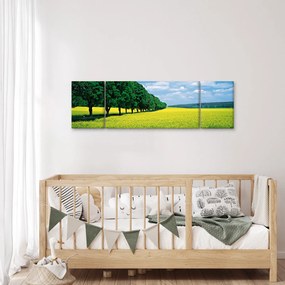 Obraz pola z aleją (170x50 cm)