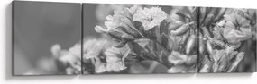 Obraz - Suszone kwiaty (170x50 cm)