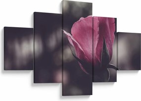 Obraz - Detal kwiatu róży (125x70 cm)