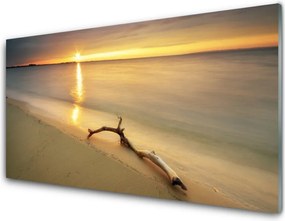 Dekor Szklany do Kuchni Złoty Brzeg Oceanu