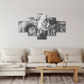 Obraz - Róża, czarno - biały (125x70 cm)