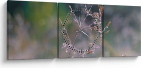 Obraz - Szczegół trawy (z zegarem) (90x30 cm)