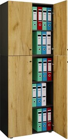 Szafka biurowa z kartoteką Lona 5-krotna