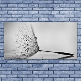 Duży obraz na płótnie Dywan Czerwonych Maków na Łące