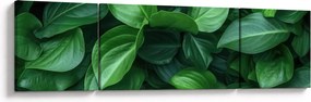 Obraz - Zielone liście (170x50 cm)