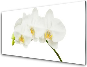 Panel Szklany do Kuchni Świeże Pędy Kwitnącej Orchidei