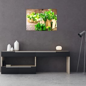 Obraz na szkle - świeża mięta (70x50 cm)