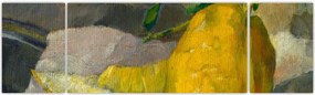 Obraz - French 19th Century, Melon and Lemon, reprodukcje (170x50 cm)