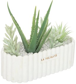 Sztuczne rośliny: aloes i sukulenty w ceramicznej doniczce Rivi, wys. 20 cm