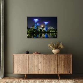 Obraz przedstawiający pełnię księżyca w ogrodach Singapuru (70x50 cm)