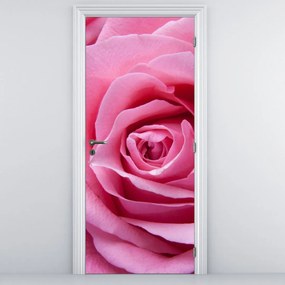 Fototapeta na drzwi - Róża (95x205cm)