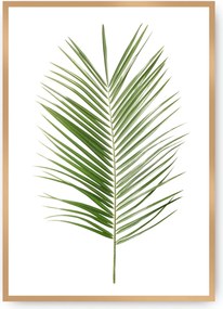Plakat Palm Leaf Green
