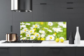 Panel Szklany do Kuchni Urok Polnej Stokrotki