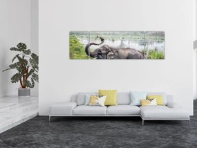 Obraz - Kąpiący się słoń (170x50 cm)