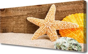 Obraz canvas Skarby Morza na Piasku