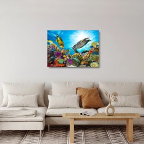 Obraz na szkle rafy koralowej (70x50 cm)