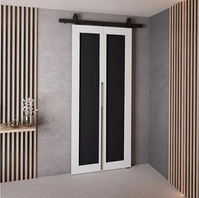 Drzwi Przesuwne QUDIO M1 Biały + Czarny 70