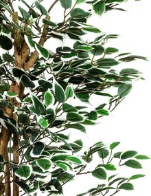 Drzewko sztuczne dekoracyjne Fikus 160 cm