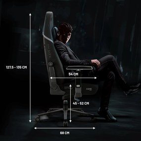 Fotel gamingowy Diablo X.Eye Prime, Normal Size, Burned Black