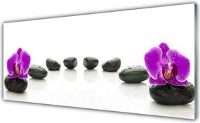 Szkło do Kuchni na Ścianę Storczyk na Gładkich Kamieniach