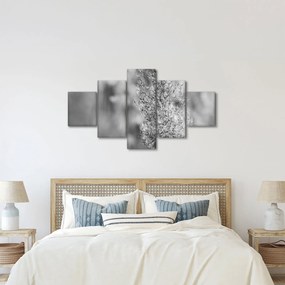 Obraz - Trawa pampasowa Boho (125x70 cm)