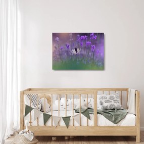 Obraz na szkle - Motyl w lawendach (70x50 cm)