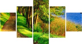 Obraz szlaku wzdłuż wody (125x70 cm)