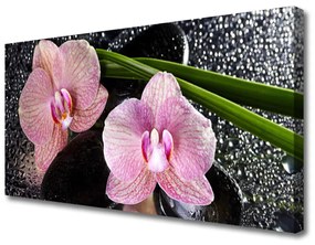 Obraz Canvas Kwiaty Orchidea Storczyk Zen