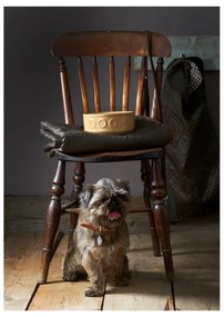 Kamionkowa miska dla psa Mason Cash Pet Cane Dog, ø 25 cm