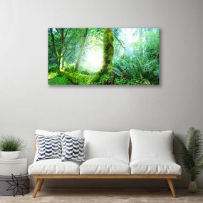 Fotoobraz na płótnie Miękkość Leśnego Mchu