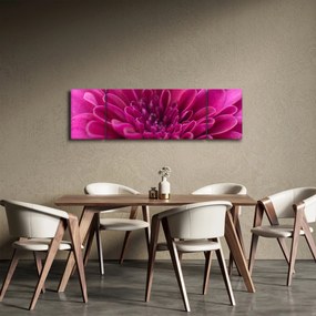 Obraz kwiatu (170x50 cm)