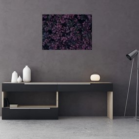 Obraz ciemnoczerwonych liści (70x50 cm)