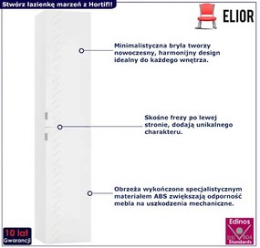 Dwudrzwiowy podwieszany regał łazienkowy - Tiris 12X