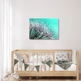 Obraz na szkle - zroszona roślina (70x50 cm)