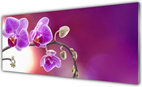 Panel nad blat kuchenny Bukiet Letnich Kwiatów