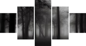 Obraz - Las we mgle (125x70 cm)