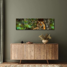 Obraz odpoczywającego tygrysa (170x50 cm)