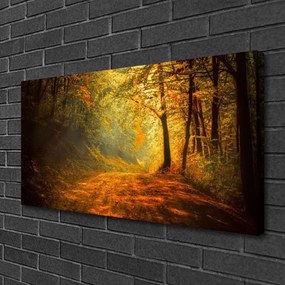 Fotoobraz na płótnie Leśna Ścieżka w Słońcu