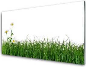 Panel Kuchenny Delikatność Polnej Trawy