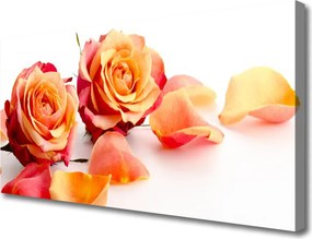 Obraz canvas Aksamitne Róże w Ogrodzie