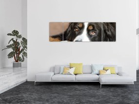 Obraz psa (170x50 cm)