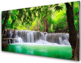 Panel Szklany Ukryty Wodospad W Gęstwinie