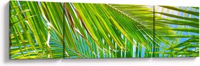 Obraz - Liście palmowe (170x50 cm)