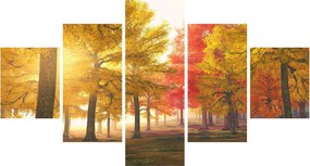 Obraz jesiennych drzew (125x70 cm)