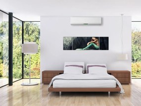 Obraz - Syrenka na skale (170x50 cm)