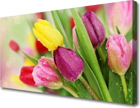 Duży obraz na płótnie Tęczowy Bukiet Tulipanów