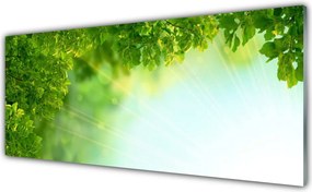 Panel Szklany Botaniczny Detal Liści