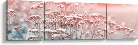 Obraz - Kwiaty polne (170x50 cm)