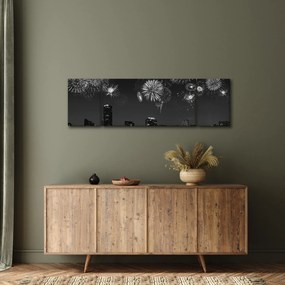 Obraz - Fajerwerki w Miami, czarno - białe (170x50 cm)